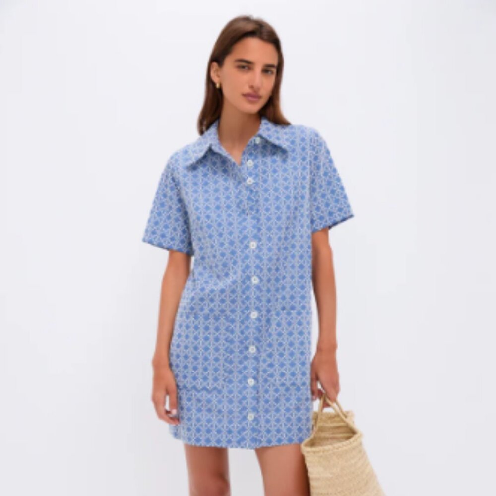 Tuckernuck Blue Patterned Mini Dress